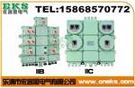 BXM51防爆配电箱IIBT6价格