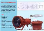 DGC175\127矿用防爆投光灯