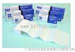 SR10006-2智能有纸记录仪