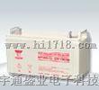 汤浅蓄电池12v100ah价格/蓄电池高清大图