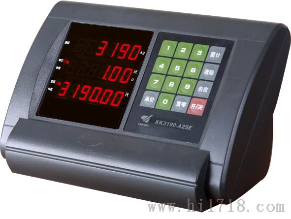 XK3190—DM1 汽车衡显示器