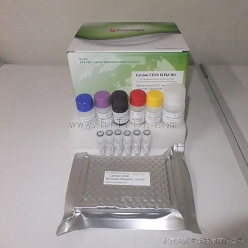 特价人孕激素/孕酮ELISA试剂盒价格,北京现货人PROG ELISA试剂盒现货代测