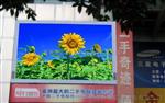 户外LED广告视频电视显示屏