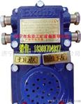 KXH0.2/127型矿用防爆型声光组合信号器，打点信号器