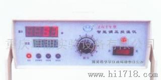 重庆坤朋高科ZNTY控温仪，温度控制器系列