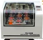 TS-100C恒温培养振荡器