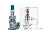 YA40Y带散热器弹簧全启式安全阀