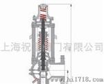 蝶形弹簧式安全阀 ZF 进口蝶形