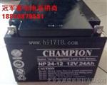 葫芦岛Champion NP24B-12(12V-24Ah/20HR)蓄电池