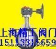 D371X-10/16P不锈钢蜗轮蝶阀 上海精工（上工牌） 湖北安陆阀门