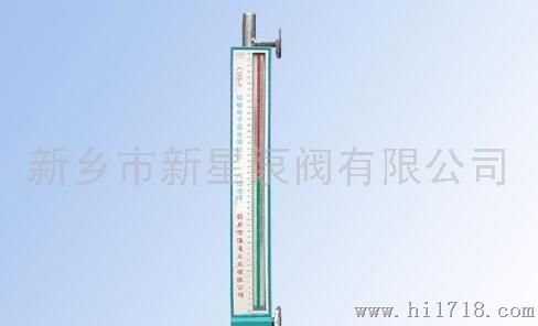 CDS-6型磁敏电子双色液位计