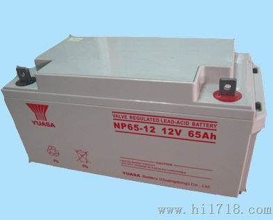 12v65ah河南洛阳汤浅蓄电池NP65-12