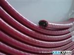 新疆电热带