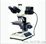 上海缔伦光学正置金相显微镜XTL2003A