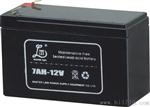 雄狮UPS电池生产厂家铅酸UPS蓄电池12V7AH