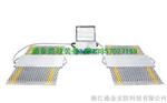 供应温州便携式称重仪，动态汽车称重仪出口品质，国产价格