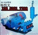大流量泥浆泵 活塞泥浆泵图片