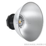 特殊进口COB集成LED工矿灯上海联系厂家