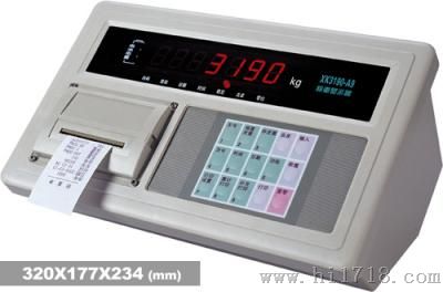 耀华xk-3190A9（+P）带打印仪表电子地磅