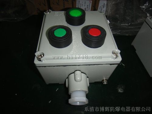 BZA53防爆控制按钮