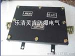 JHH50-8矿用本安接线盒
