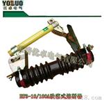 RW4-10/100A跌落式熔断器
