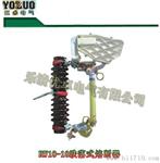 RW4-10/100A跌落式熔断器