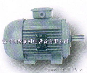 万高W20系列电机