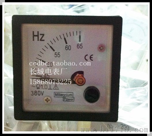 乐清市长城电表厂 99T1-HZ 交流指针频率表