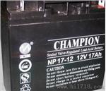 蓄电池np24-12/免维护12v24ah