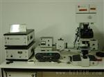 MPV-SP显微镜光度计