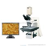 CMY-410Z摄像型大平台正置检查显微镜