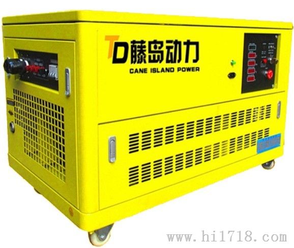 上海25KW全自动汽油发电机TD25GFJ