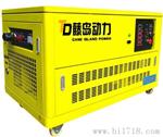 上海25KW全自动汽油发电机TD25GFJ