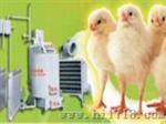 养殖水暖风两用锅炉 养殖控温锅炉