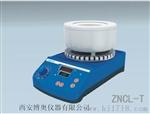智能磁力搅拌 电热套ZNCL-T   100ml