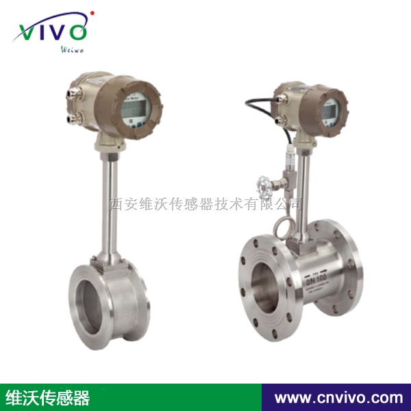 蒸汽计量流量计