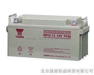 汤浅蓄电池NP65-12(12V65AH)