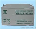 汤浅蓄电池NP24-12(12V24AH)