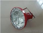 54WLED投光灯,DGS54/127L煤矿用LED投光灯