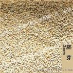 酒精厂玉米提胚成套设备  酒精厂玉米提胚成套设备价格