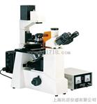 倒置荧光显微镜BFM-800