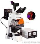 荧光显微镜BFM-600