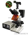 电脑型/数码型荧光显微镜ＢＦＭ－４００E/D