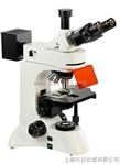 无限远数码型荧光显微镜BFM-500