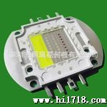 led集成50W白+红+蓝双色 台湾光宏40mil 
