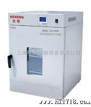 恒温烤箱 实验室用干燥箱 烘干箱 高温试验箱DHG-9070A