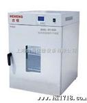 恒温烤箱 实验室用干燥箱 烘干箱 高温试验箱DHG-9070A