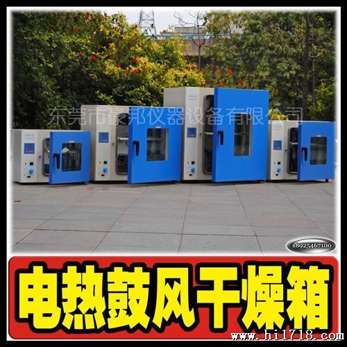 (实验室 小型)电热,高温,恒温,鼓风,循环,远【干燥箱】