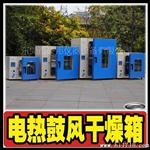 (实验室 小型)电热,高温,恒温,鼓风,循环,远【干燥箱】